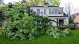 What to Do When You Have Storm Damage: 7 Important Steps