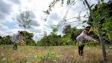 University of La Verne students use science to influence policy at 200-acre open space