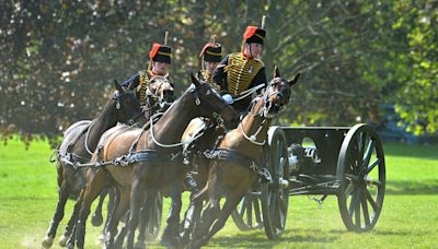 Melplash Agricultural Show 2024 set for Thursday 22 August