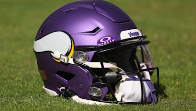 19. Minnesota Vikings