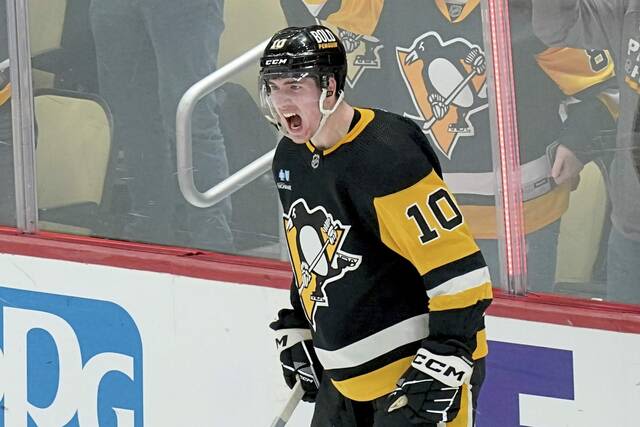 Penguins A to Z: An experiment with Drew O'Connor worked out really well