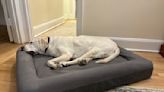 Why my 11-year-old lab loves Casper’s dog bed more than sleeping with me