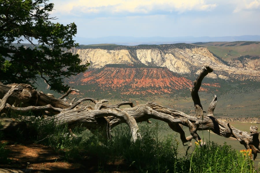 Dinosaur National Monument proposes camping fee increase