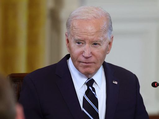 La Nación / Republicanos en EE. UU. confrontan a Biden por suspensión de envío de armas a Israel