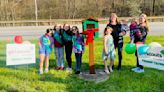 Purchase Line Girl Scout troop receives Girl Scout Bronze Award