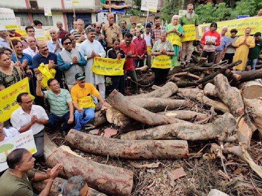 Indore: Citizens Take Up Cudgels Against Felling Of Trees At Malhar Ashram