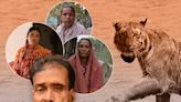 Surviving a tiger attack: How hunters became the hunted