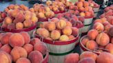 Dates set for annual Mt Laurel Farmers’ Market - Shelby County Reporter