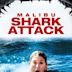 Shark Attack – Sie lauern in der Tiefe!