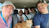 Maine Cat Becomes Celebrity After Sneaking into Her Family's Car and Joining Their Road Trip