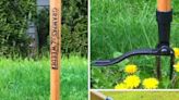 The 56 Best Things to Buy on Amazon, Including This Insanely Effective Weeder