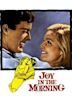 Joy in the Morning (film)