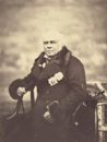 James Bruce, 8. Earl of Elgin