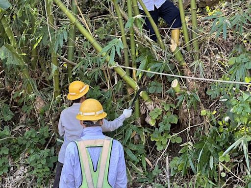 高雄山區尚有119戶停電 台電力拚今全面復電