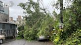 凱米颱風／狂風暴雨釀災！基隆多處路樹倒塌 居民受困喊救援│TVBS新聞網