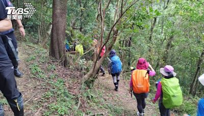 新北平溪24人登山團6人遇峰螫 1人無法行走警消搬運下山