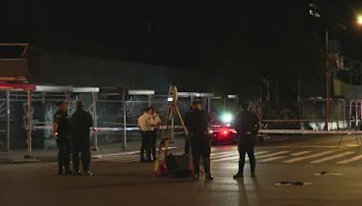 Mujer y tres niños son arrollados al cruzar calle de Harlem; una niña muere y otra resulta herida