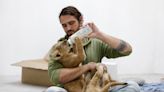 4 lion cubs rescued from Ukraine find love and lifetime care in the US