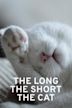 Il lungo, il corto, il gatto