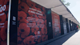 Poppy Wall of Honor pays tribute to over 600,000 service members - WBBJ TV