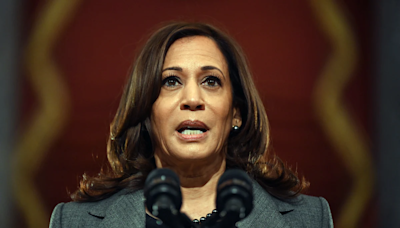 Internet Says Kamala Harris Is "Brat", And Her Campaign Is Embracing It