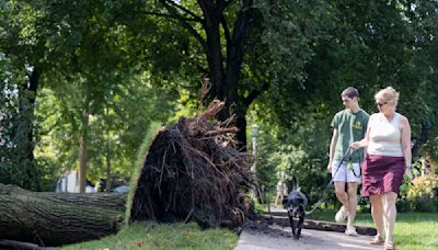 Illinois has already experienced over 100 tornadoes this year, double the annual average