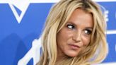 PETA Calls Britney Spears ‘Toxic’ For Buying, Not Rescuing, New Puppy