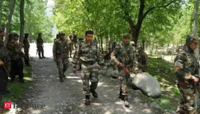 Joint search op launched following suspicious movements in Poonch, Reasi - The Economic Times