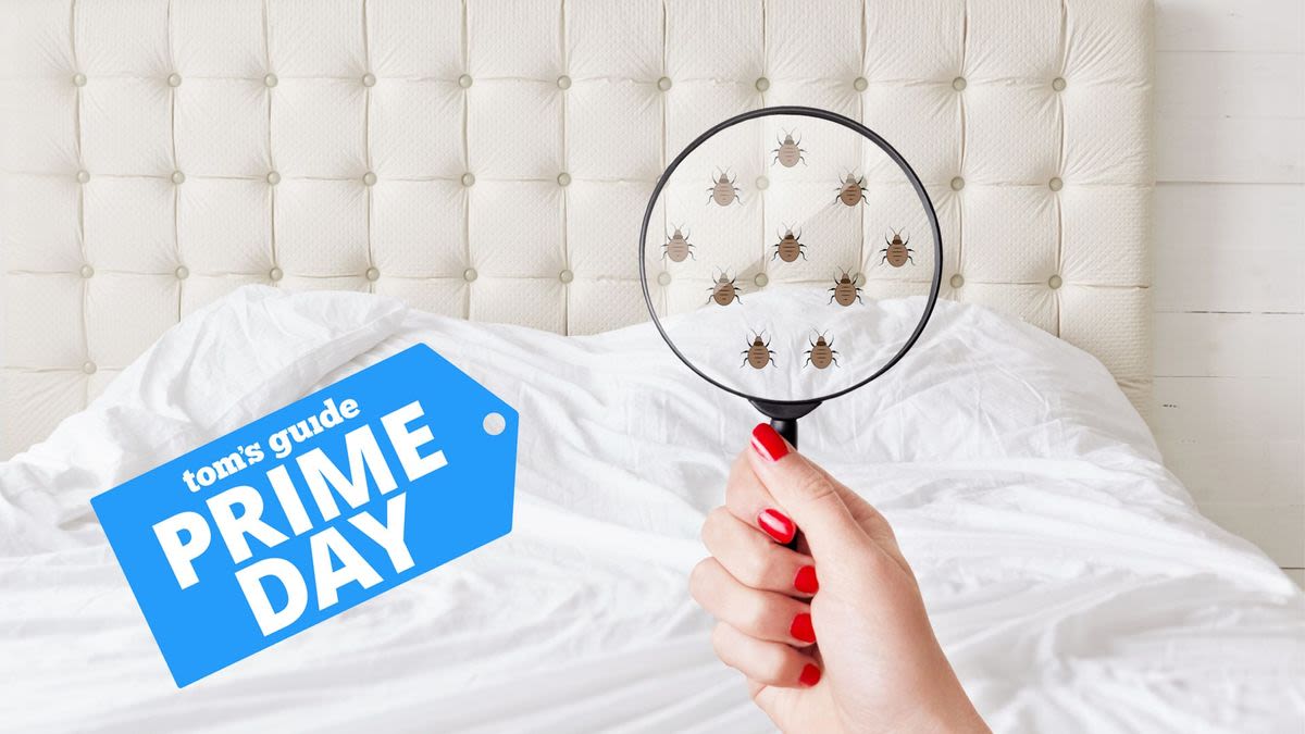 3 best mattress encasement Prime Day deals — banish bed bugs, dust mites, scabies and more