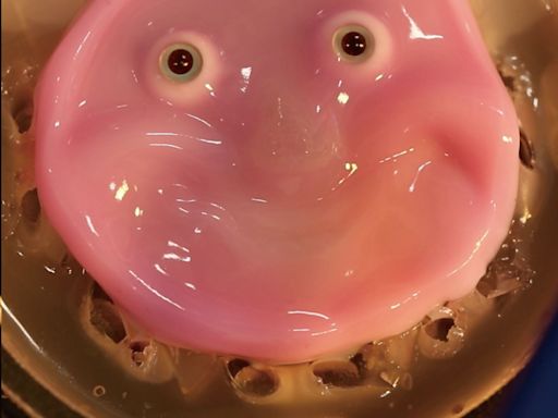 Scientists in Japan Give Robots a Fleshy Face and a Smile