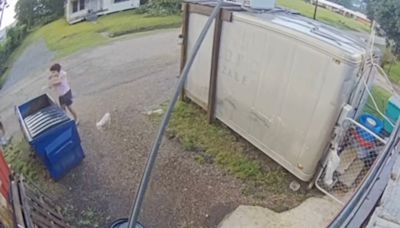 Moment woman cruelly hurls two puppies into dumpster caught on camera