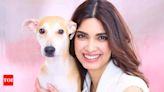 Diana Penty urges adoption over purchase for pets | - Times of India