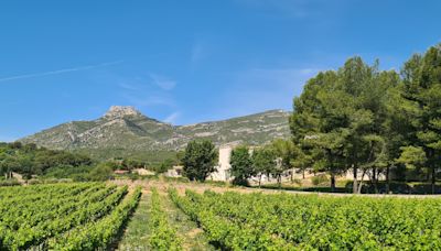 Vacances dans le sud de la France : huile d'olive maison, santons... nos idées d'activités originales pour découvrir la région