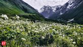 Best treks in India for the month of July - Valley of Flowers Trek