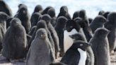 Antarctica Conference: Declaration of a new protected area - Science