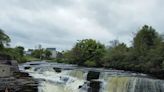 Salmon in County Sligo river are hit by ‘stress’ related disease