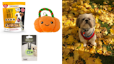 I’m a dog owner — 11 things from Walmart I’m treating my pup to this fall