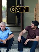 Câini