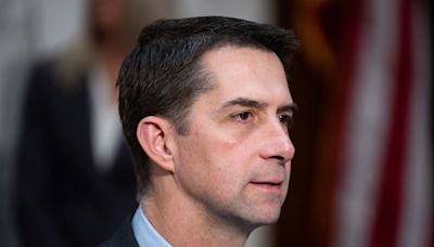 GOP’s Tom Cotton pressed on weird talk about an anti-Biden ‘coup’