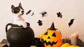 The 19 Best Halloween Decorations of 2023