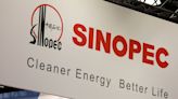 Sinopec's 2023 net income falls 9.9% in 'complicated environment'