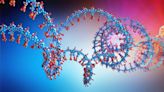 Día Mundial del ARN: los usos clave en la medicina de avanzada para combatir distintas enfermedades