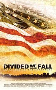 Divided We Fall: Americans in the Aftermath