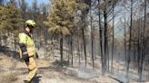 El alcalde de El Pueyo de Araguás pide limpiar los montes para evitar más incendios