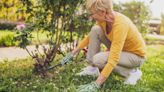 Monty Don's 'dirty' method for getting rid of annoying garden weeds for good