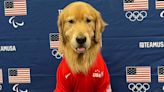 Meet Beacon, the Golden Retriever Who Had an Important Role at the U.S. Olympic Gymnastics Trials