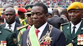 Media not there to suit your taste, but to hold you to account- Mnangagwa told | Zw News Zimbabwe