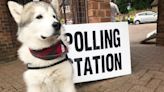 Is your pet coming to vote in York? Send us your pictures!