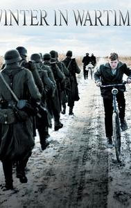 Winter in Wartime (film)