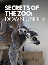 Secrets of the Zoo